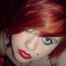 Ready For A Wild Ride? Let